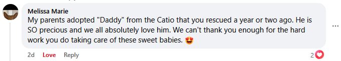 'Daddy' adoption - testimonial facebook comment